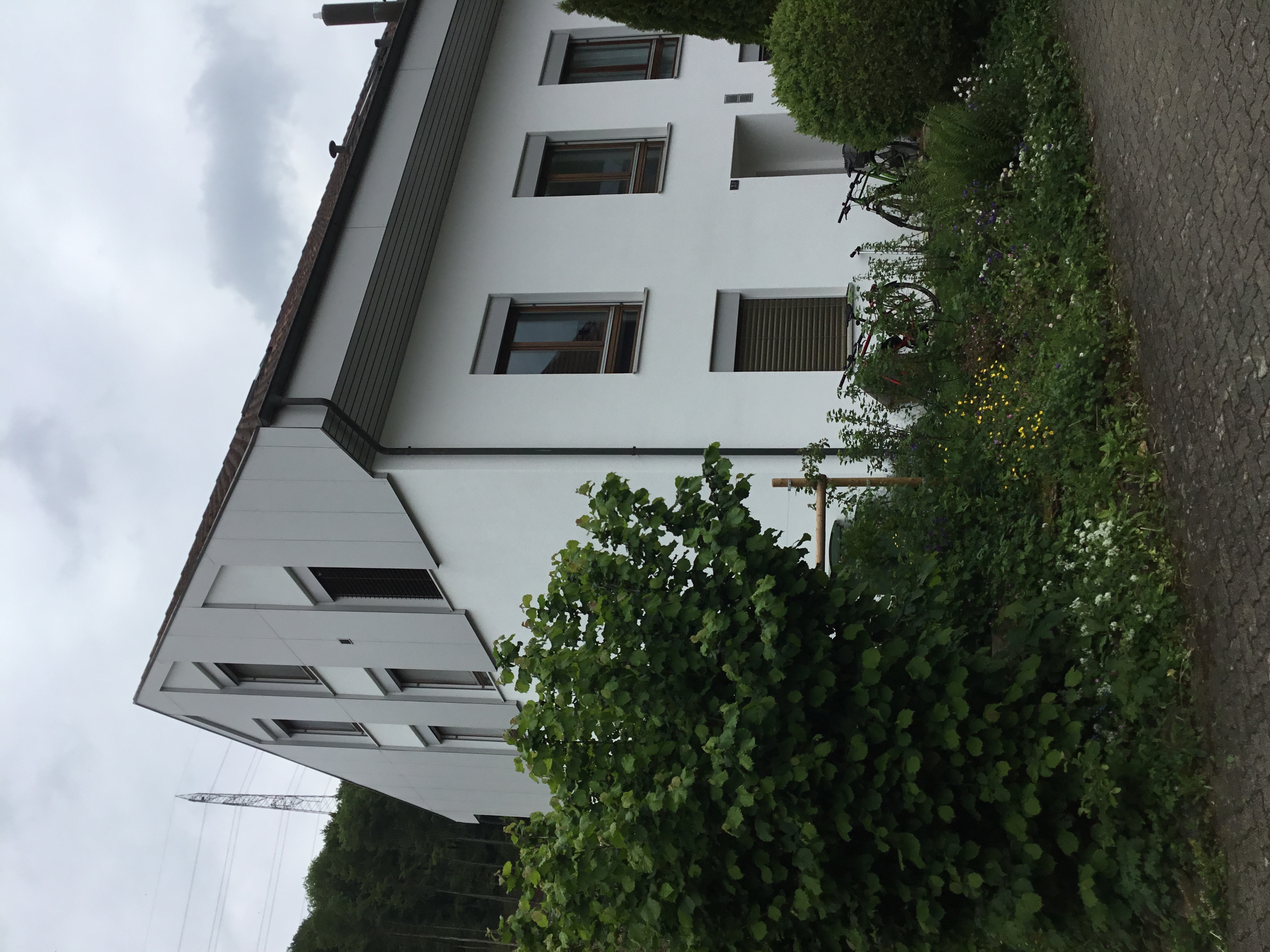 IMG_0772.jpeg